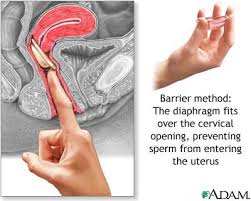 the cervix prior to intercourse