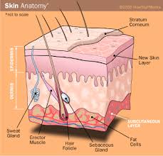 kinds of sunless-tanning - via Daymix