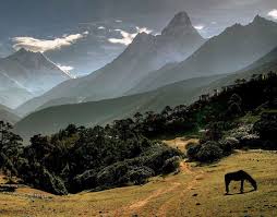 Himalayas, WWF Nepal - via Daymix