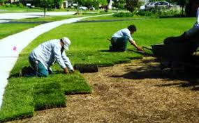 Sod Installation
