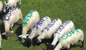 BELOW, SHEEP DRIFT GENTLE - via Daymix
