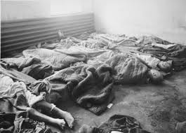 Auschwitz Picture - Corpses in - via Daymix