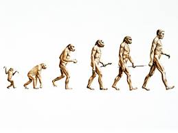 Revolution in Evolution