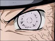   Neji x26s Byakugan  