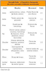 Core  strength training  should