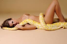 Two of the  snakes   were MASSIVE    