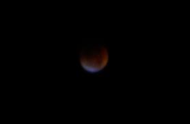Blood Moon I took this poor