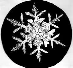 Teaching about Snowflakes: A - via Daymix