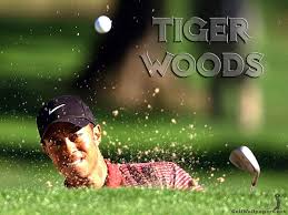 Image <b>Tiger Woods</b> Golf Wallpaper Picture