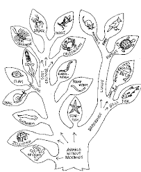 The  Animal Kingdom  