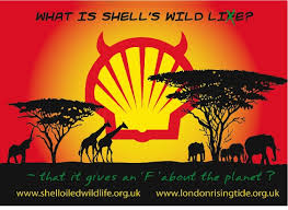 Shellwildliefinal
