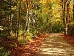 Previous article:Autumn Scene - via Daymix