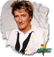 Image <b>Rod Stewart</b> Picture