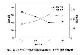 摂氏28度での発育期間は43.3日で