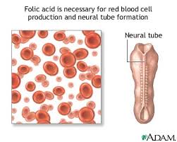  Folic acid 