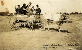  African-American museum Web site 