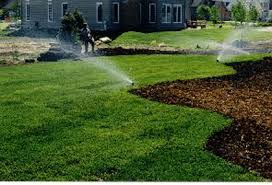 Bongiorno's Contracting - Sod