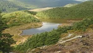 Visit the New Zealand National - via Daymix