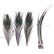 Wildfowl Feathers - via Daymix