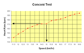 Heart rate training graph - via Daymix
