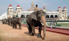 2008-10-03 - Mysore