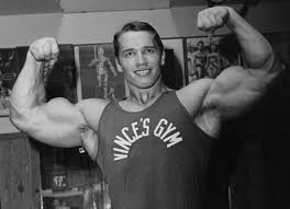 arnold-schwarzenegger-vince- ...