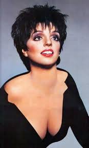 Image <b>Liza Minnelli</b> will return to <b>...</b> Picture