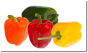 paprika