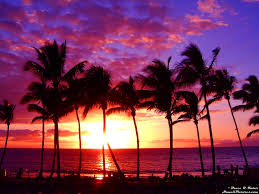   Maui   Sunset Picture