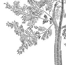 Plant a Tree with a Child - via Daymix