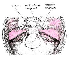 http://upload.wikimedia.org/wikipedia/en/c/c5/Clivus.png