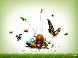 Minuscule2(1).jpg (www.dvdcollects.com)