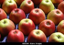 apples pronunciation