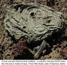 IMAGE(http://images.google.com/images?q=tbn:49fp_uW85_cLYM:facweb.bhc.edu/academics/science/harwoodr/GEOL101/Labs/VolcanicMaterials/Images/D064-0543.jpg)