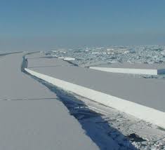 Wilkins ice shelf
