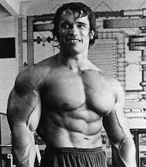 Image <b>arnold schwarzenegger</b> Picture