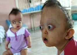 agent orange photos