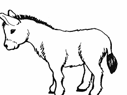 Donkey Products