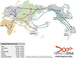  Family Tree DNA