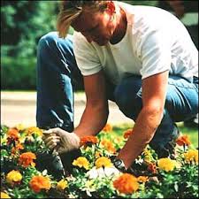 cok-gardener.jpg