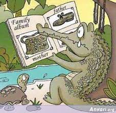 aligator pronunciation