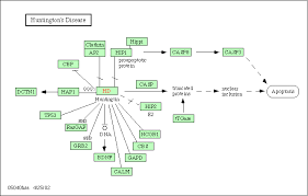 Knowledge Overload for Huntington�s