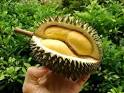 Durian Fruit | Healthy Life Care News
