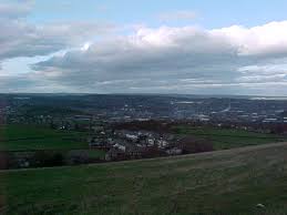Shepley!