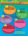 Chart The Scientific Method (17" X 22") T-38056 Teachers Paradis e ...