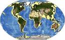 Northwest Atlantic Ecosystem Undergoing Changes Due To Human ...