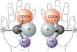 chirality pronunciation