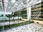 Singapore Changi Airport Terminal 3, Editorial, world architecture ...