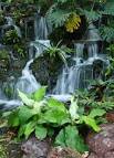 Singapore - Botanic Gardens Waterfalls - Here and There: A PhotoBlog