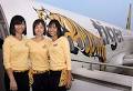 Tiger Airways fails to file accounts « Airlines News « Air News ...